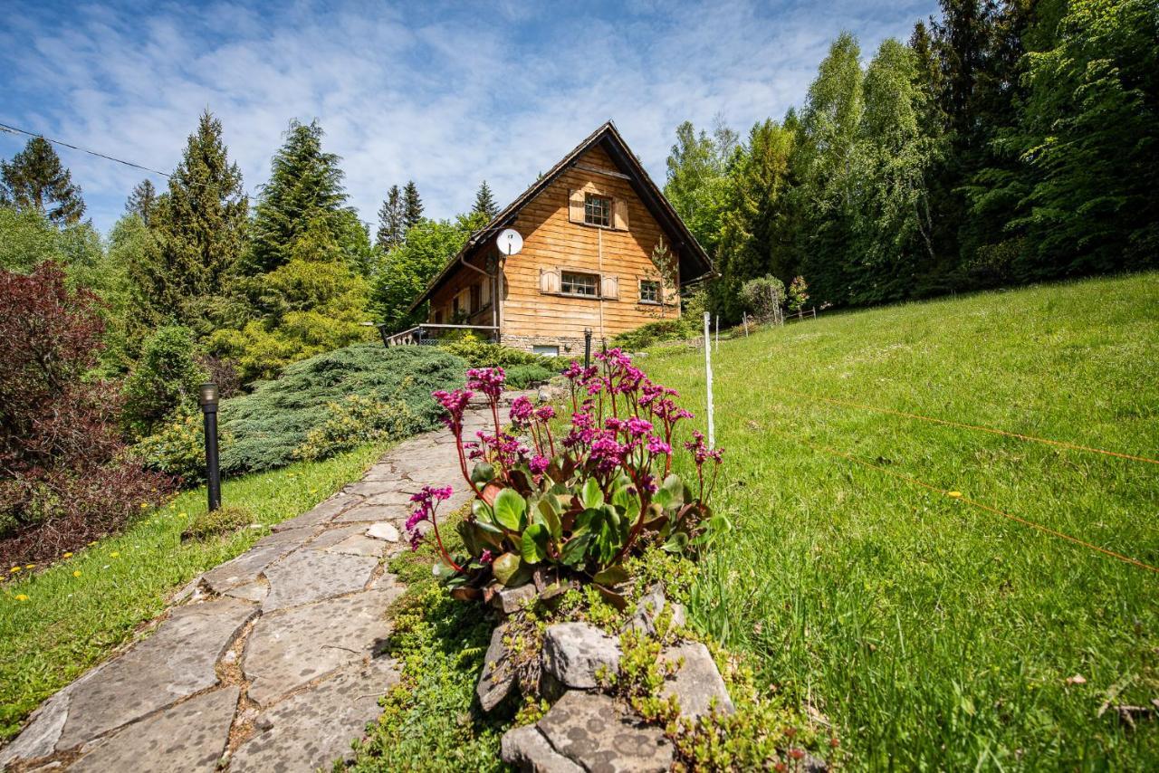 Chata Jarzebata Wisla Exterior photo